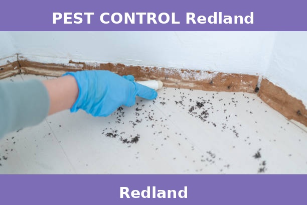 PEST CONTROL Redland